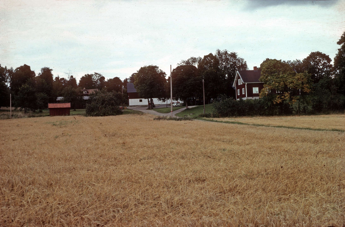 Gårdsmiljö, Stora Bärsta, Uppsala-Näs socken, Uppland 1981 - 1982