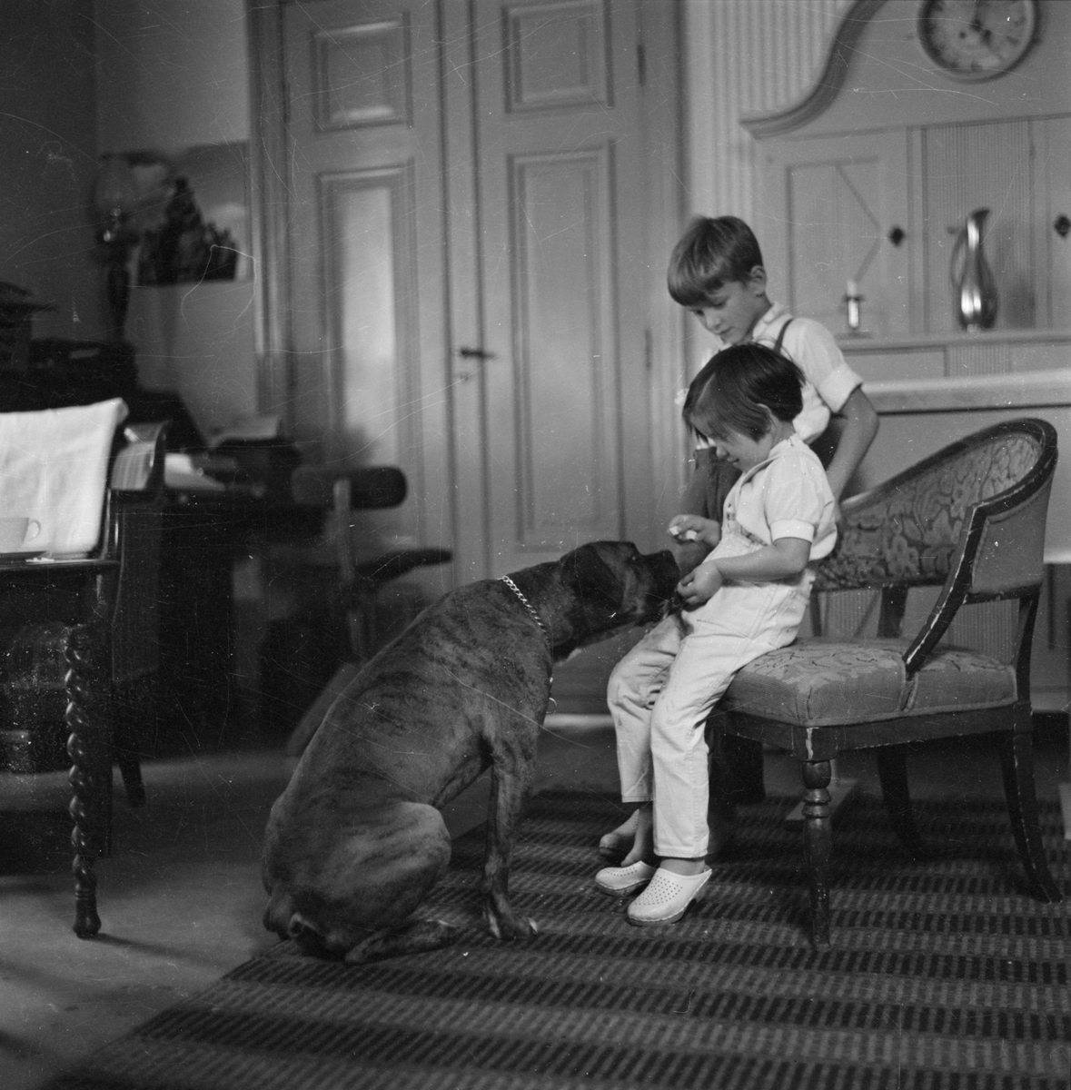 Fotograf Gunnar Sundgrens barnbarn med fotografens hund Klumpen, sannolikt hemma i Uppsala