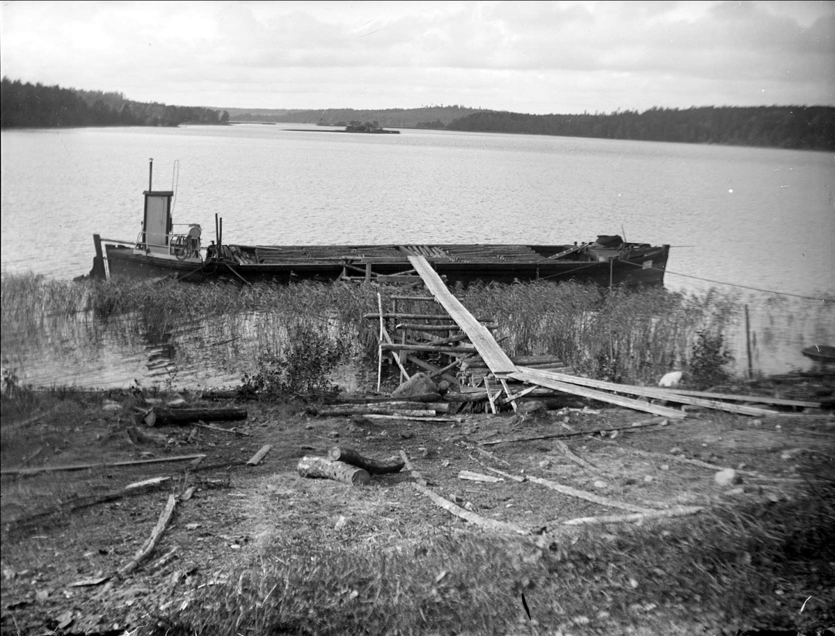 Båt lastad med timmer vid Mälarens strand, Eds socken, Uppland 1928