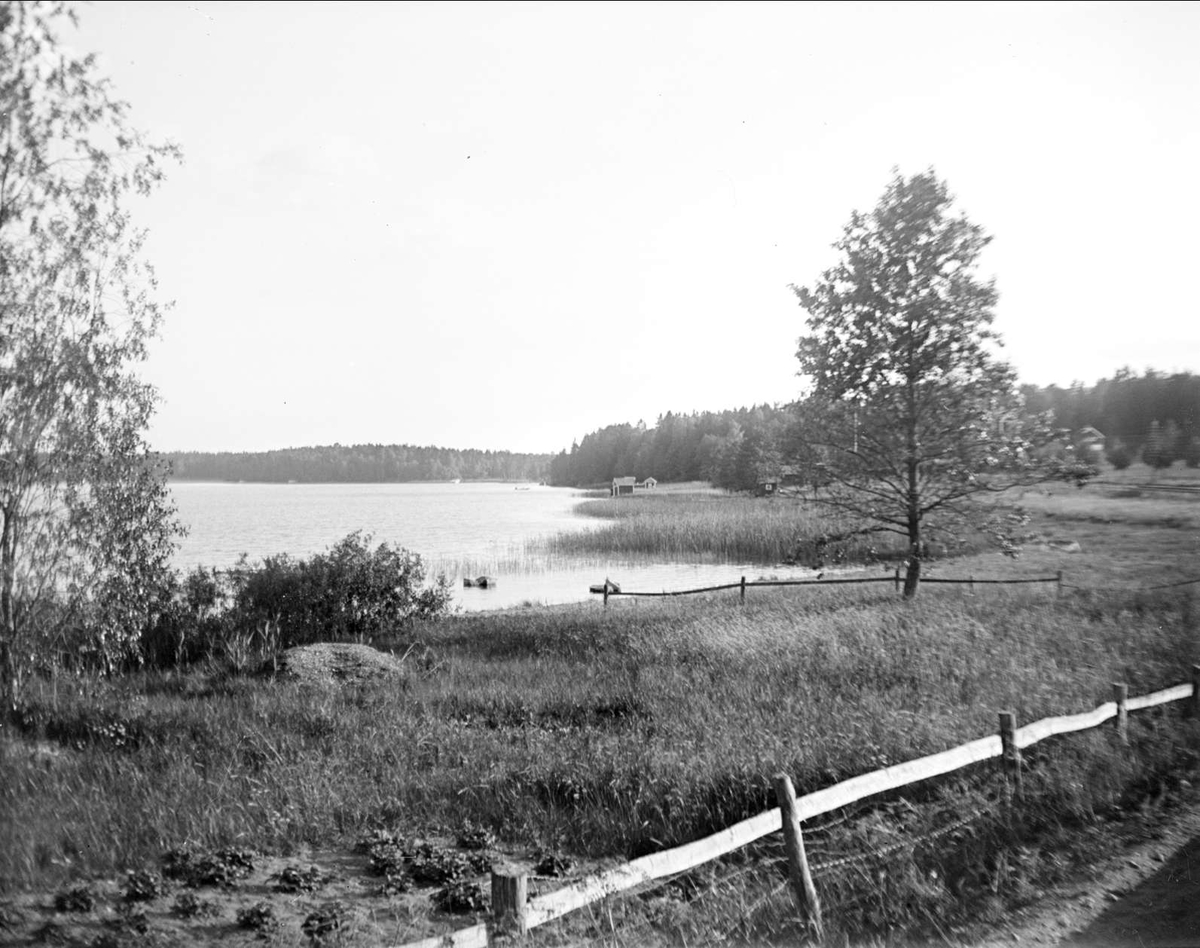 Lövsta hage vid sjön Trehörningen, Funbo socken, Uppland juni 1934