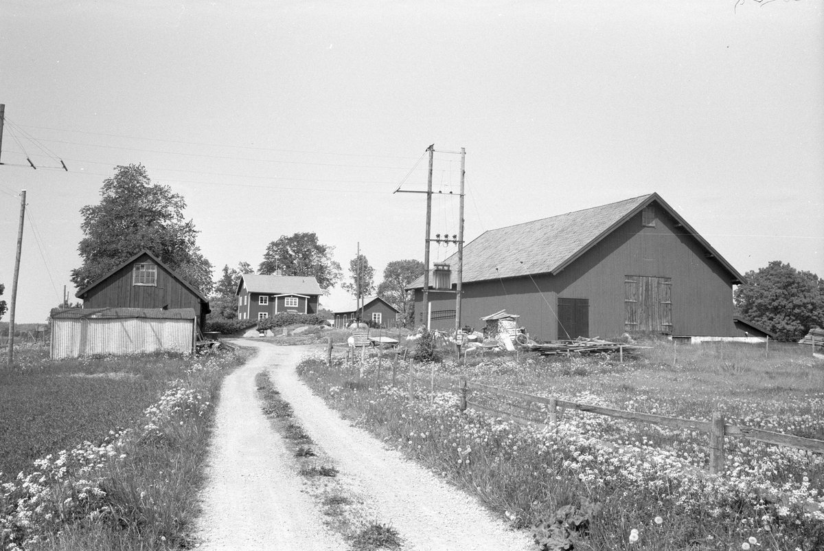Vy från söder över Ekeby 1:1, Ekeby, Lena socken, Uppland 1977