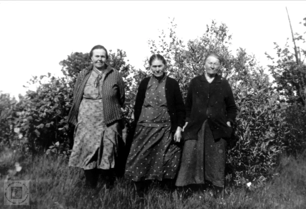 3 kvinner Falk, Vestfossen, Øyslebø.