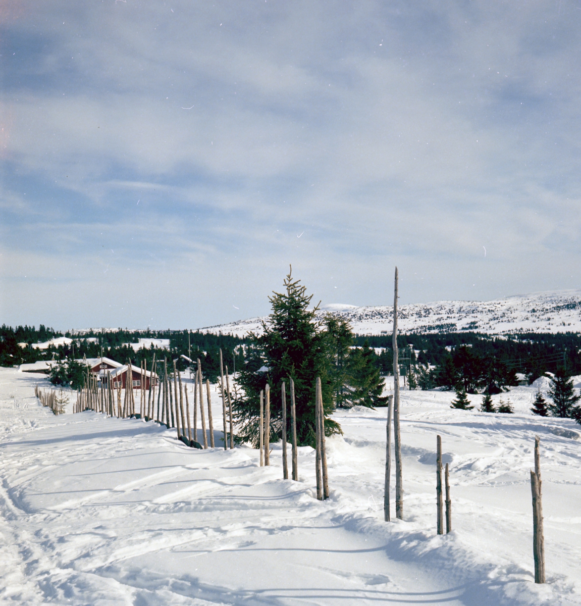 Sjusjøen, landskap, vinter, utsikt. Mars 1968. 