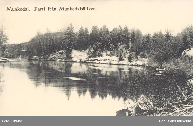 Tryckt text på kortet: "Munkedal. Parti från Munkedalsälfven".
"F. L. Schewenius förlag. Munkedal".