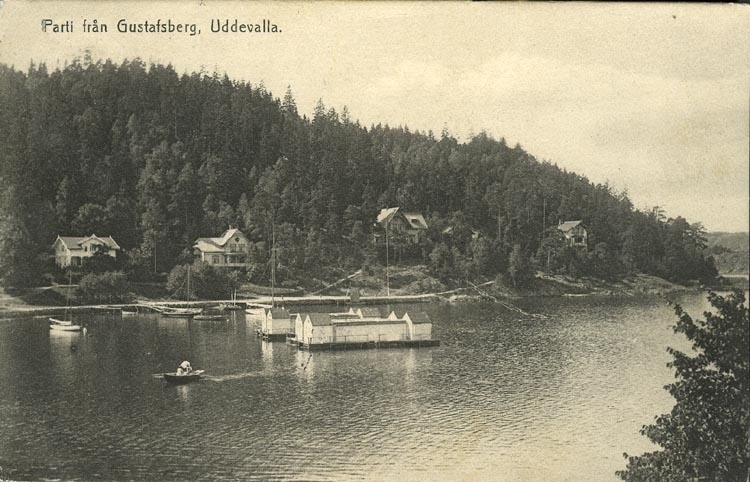 Tryckt text på vykortets framsida: "Parti från Gustafsberg, Uddevalla."