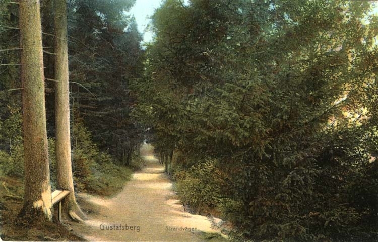 Tryckt text på vykortets framsida: "Gustafsberg Strandvägen."