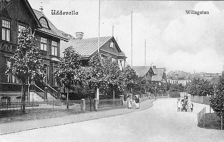 Tryckt text på vykortets framsida: "Uddevalla. Willagatan".


