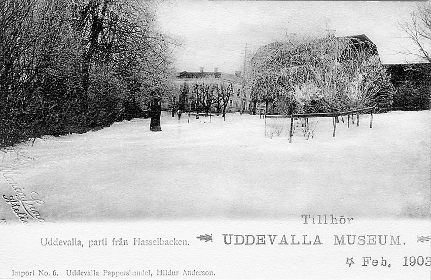 Tryckt text på vykortets framsida: "Uddevalla. Parti från Hasselbacken".