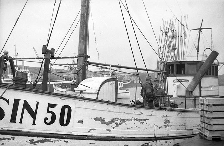 Enligt fotografens notering: "Simrishamnsbåtar i Lysekil på väg till Nordkap 21/3 1968".