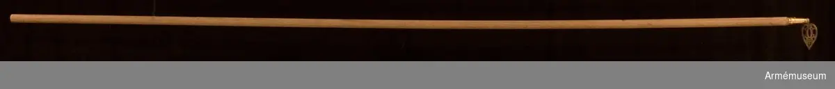 Fanstång:
Tillverkad av målad furu, slät rund stav.

Spets av förgylld mässing på holk. Spegelmonogram av C under kunglig krona.