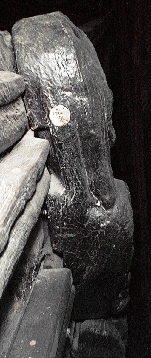 Skulptur föreställande en triton, svängd mot vänster och framställd i höger profil.
Tritonen har skäggigt ansikte, stor näsa samt en bladsmyckad hjälm på huvudet. Armarna är ersatta av långa, flikiga bladslingor. Bålens övergång i den fjällförsedda fiskstjärten markeras av stora bladbildningar. Figuren avtecknar sig i hög relief mot det släta bakstycket. Nedtill ses en fiskliknande stjärt med drakfena, vilken är fortsättningen på en under liggande draken, se fyndnummer 00628. På baksidan finns urtag för relingslisten.
Skulpturen är välbevarad.

Text in English: A sculpture of a Triton curved to the left, in right profile.
Bearded face with a long nose. Leaf-decorated helmet. The arms are replaced by long, lobed leaf formations. The transition between the male torso and the scaled fish-tail is decorated with large leaves. The figure is seen in high relief against a plain back board. Below the figure can be seen a section of another fish-like tail but actually a dragon''s fin, belonging to the dragon situated underneath, see No. 00628. There are notches on the back of the sculpture that fit into the railing.
The sculpture is well preserved.