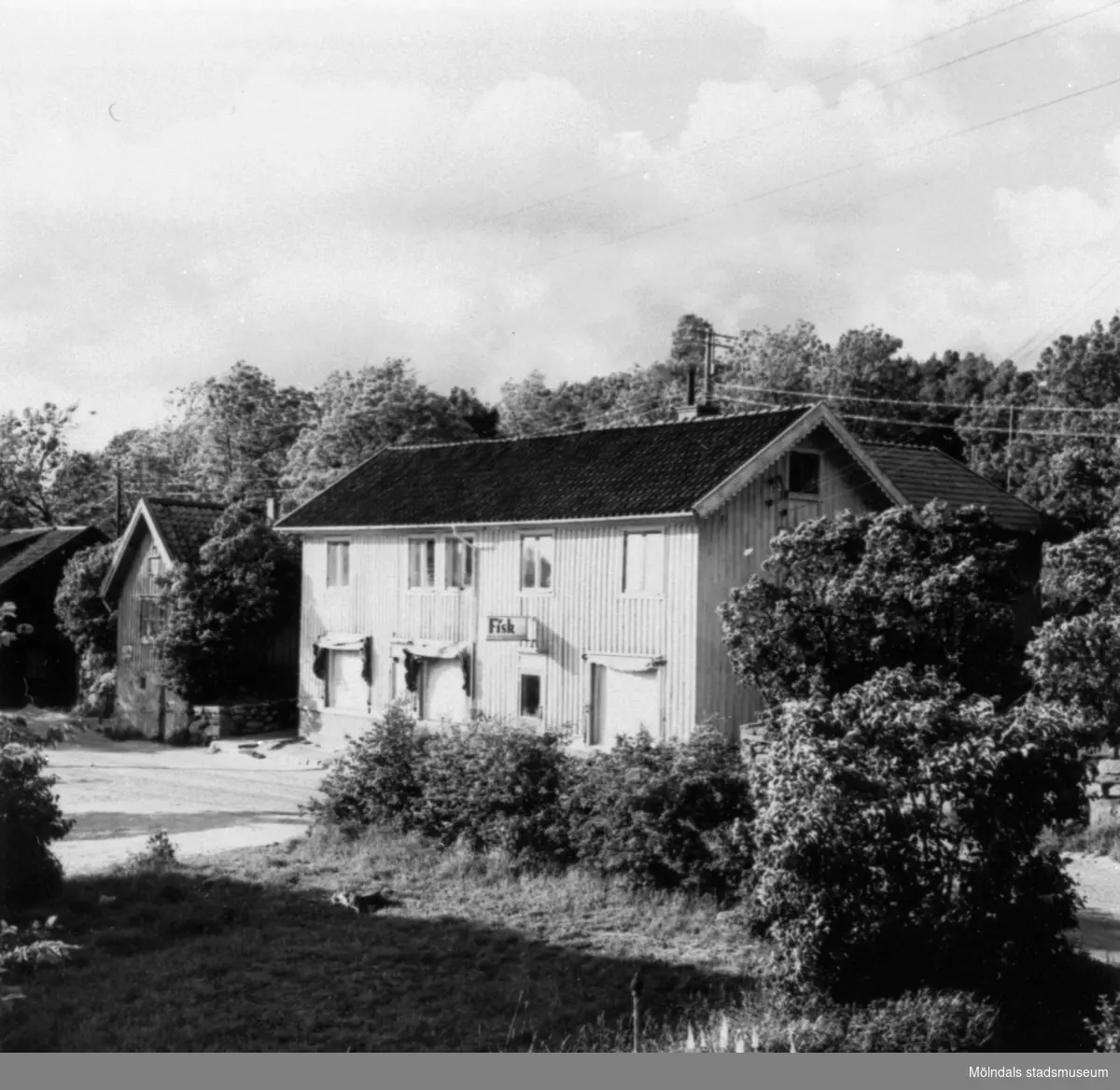 Gamla huset bakom sjukkassan. Fisk, charkuteriaffär i Annestorp, 1951.