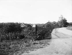 gård, bolighus, uthus, hage, gjerde, vei