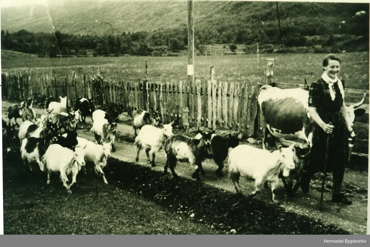 Bufarsdag i Grøndalen i Hemsedal, ca. 1935. Sigen Tuv, gift Holde, på veg til stølen