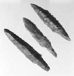 Arkeologiske gjenstander fra Edmund Rees samling på Jeløy, f