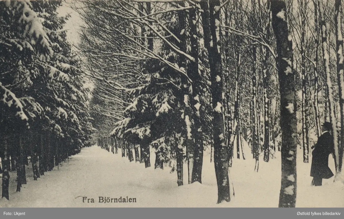 Bjørndalen, Fredrikstad, landskap, turgåer. Postkort 1909.
Del av Fredrikstadmarka.