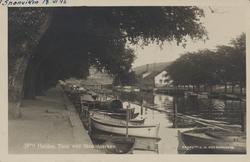 elv, Tista, småbåt, park, trær,