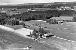 Gården Bekkevar i Eidsberg, flyfoto 23. juni 1956.