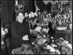 Portrett av  Hilda Sollmann, ant hennes 70-årsdag i hennes h