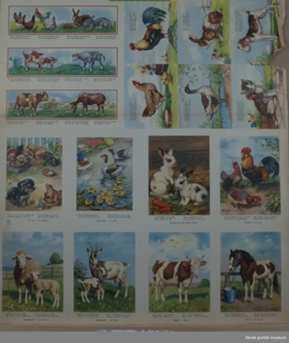 Originaltrykkark med mange sider fra en billedbok med ulike husdyr, hva spiser de og hvilke lyder lager de?