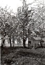 Cochegården (Rådhuset), Brevik, Telemark (interiør og ekster