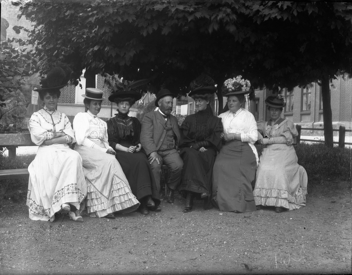 Seks kvinner og en mann på benk under lønnetre i parken