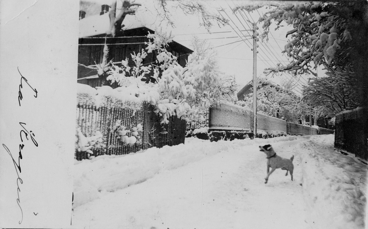 Snøvinter ved Buchholmgården. Postkort fra kragerø