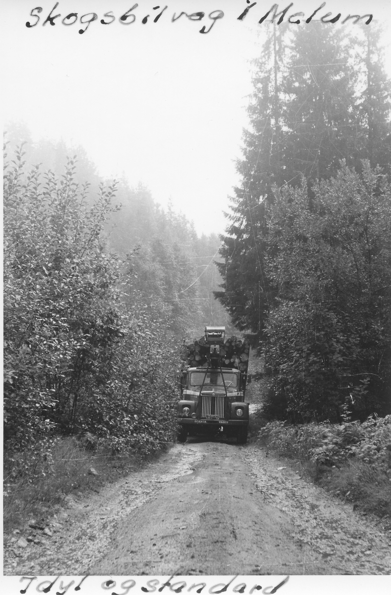 Lastebil med tømmerlass på skogsbilveg i Melum, 1960-tallet