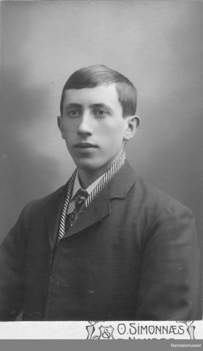 Portrett av en ung mann (med stripet skjerf).