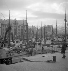 Storsildfiske. Ålesund