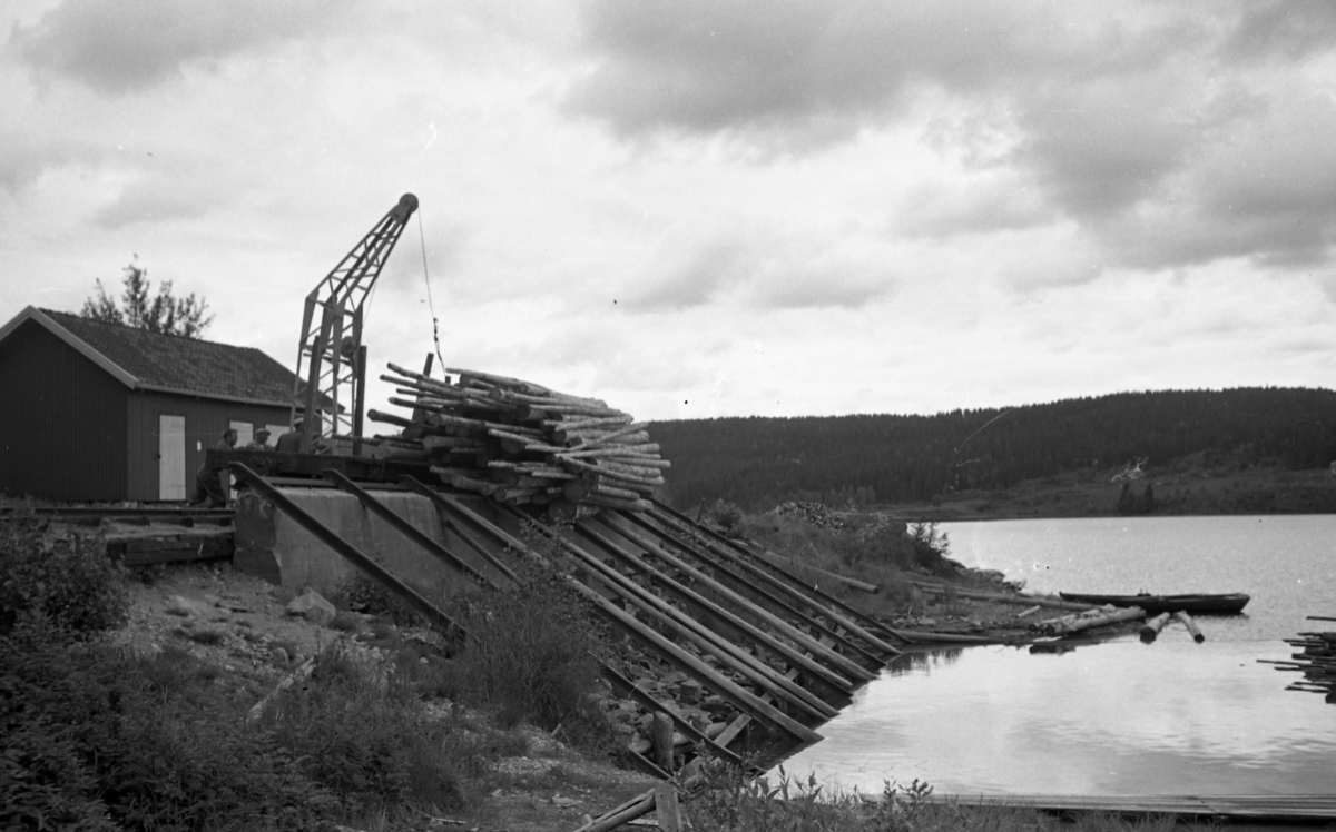 Losseanlegg for tømmer på Skulerud brygge.