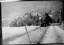 Byggåker ved vei i Kaltdalen. Bebyggelse mellom trær i bakgr