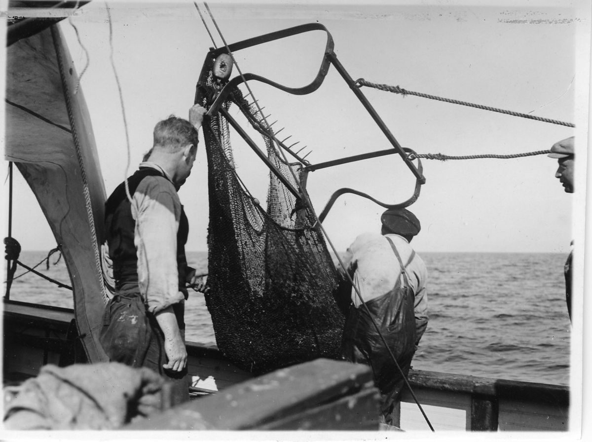 'Kattegattexpeditionen 1933: ::  :: ''Agazzis-trawlen full med Haploopsrör''. Båten ''St.152'' med 4 st män på båtdäck. ::  :: Ingår i serie med fotonr. 2804-2826.'