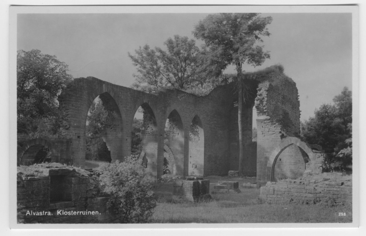 'Del av Alvastra klosterruin. Med träd växande i ruinen. ::  :: Ingår i serie med fotonr. 3642-3645.'