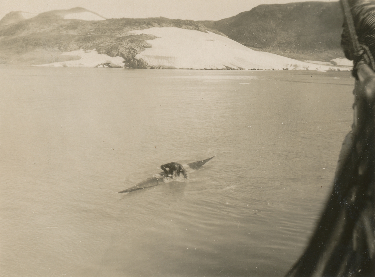 En Grønlender i kajakk dukker kroppen i vannet. Motiv tatt fra skip.