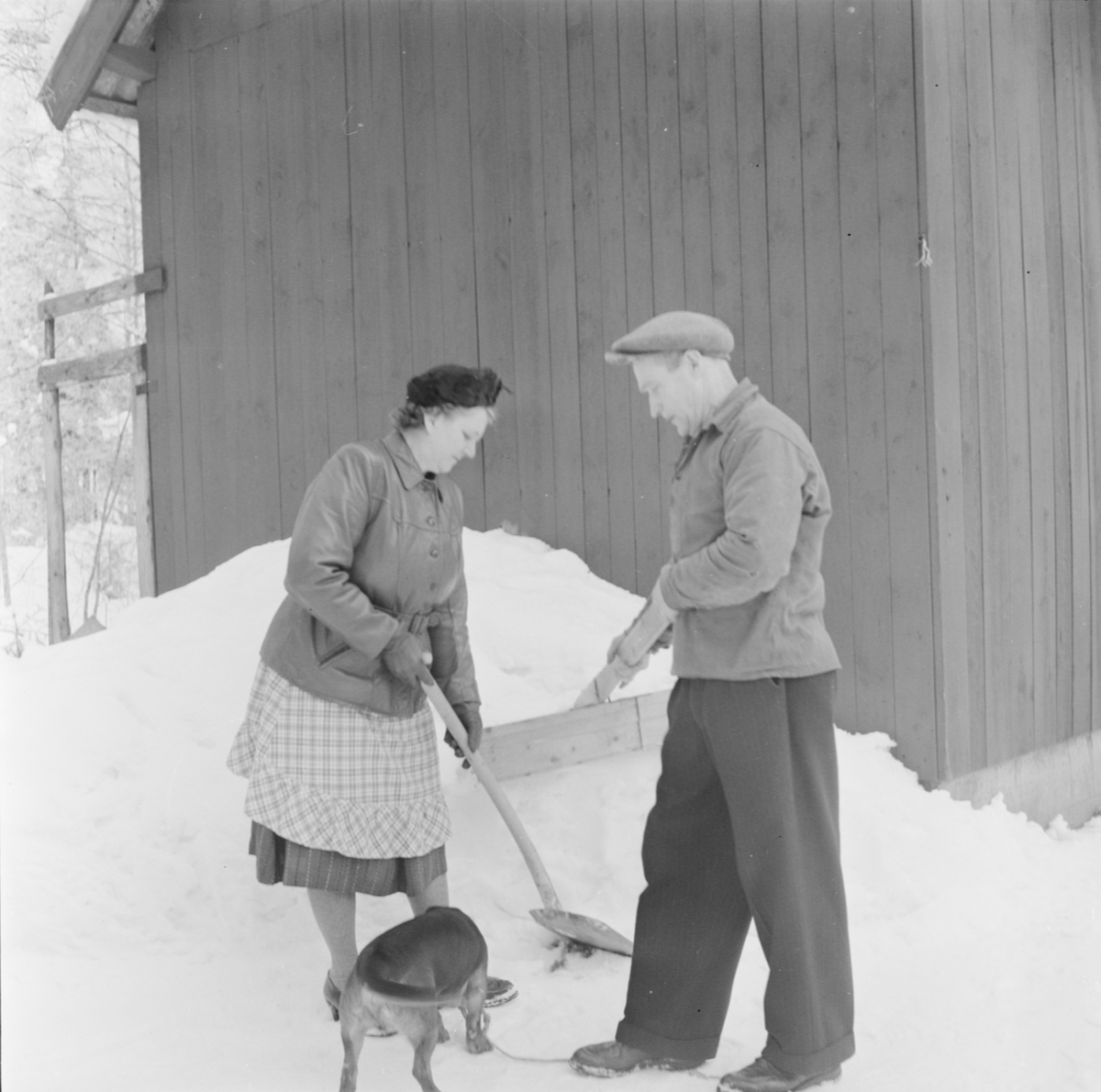 Man och kvinna skottar snö, Långtora socken, Uppland