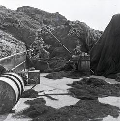 Spesial - silouett-fotos.