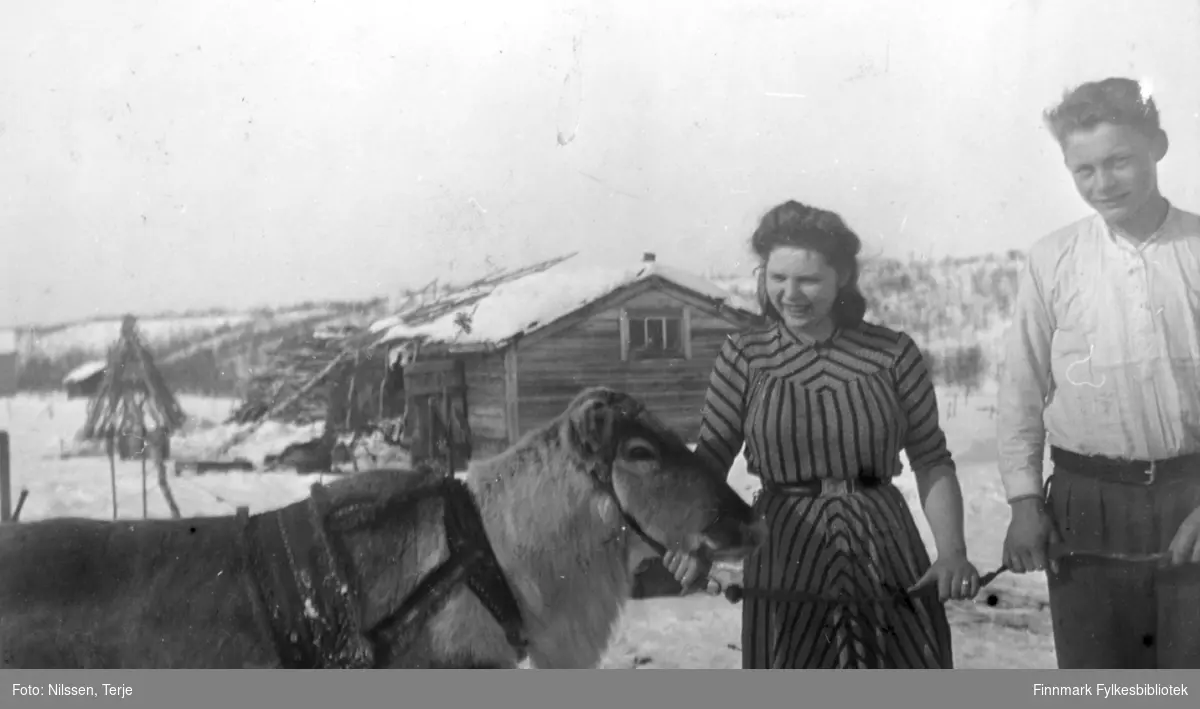 Grethe og Markus Sivertsen med en kjørerein utenfor Neiden fjellstue, påsken 1944