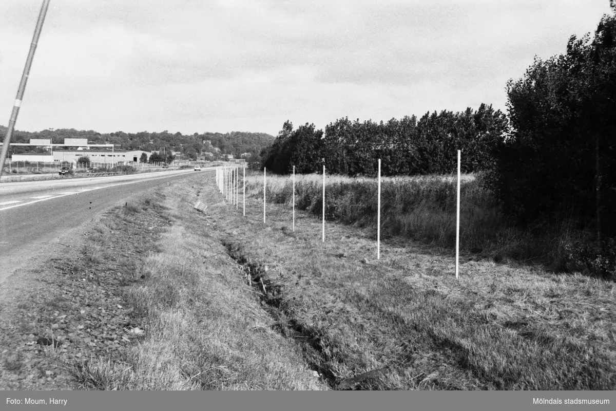 Uppsättning av viltstängsel vid Kungsbackaleden mellan Kållered och Åbro, år 1983. "Motorvägen genom Kållered blir snart förbjuden mark för storvilt."

För mer information om bilden se under tilläggsinformation.