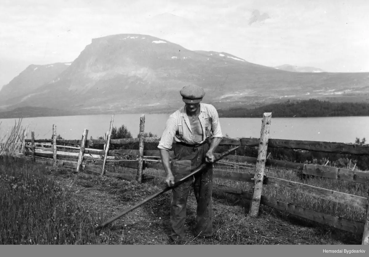 Anfin Dalene, 51/16 driv med slåtten på Bergastølen,  kring 1955. Storevatnet og Skogshorn i bakgrunnen.