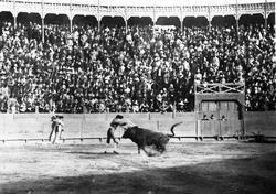 Tyrefægtning. Mexico