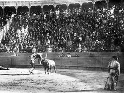 Tyrefægtning. Mexico