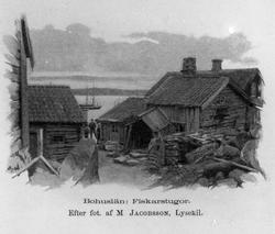 Sverige: Svenske Turistf. Aarbog 1895 Nr. 22: Bohuslän: Fisk