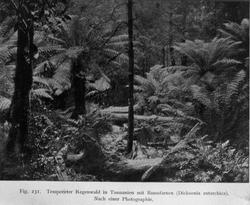 Plantens Ernæring. ... Lysbilleder. Selsk. f. Chra Bys ...