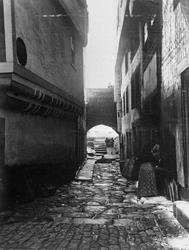 Pesten i Oporto o.l.