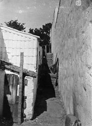 Pesten i Oporto o.l.