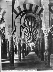 Interiør i Søileskoven. Cordova.