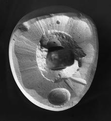 Tandlæge Christiansen et Glad (?)