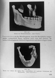 Tandlæge Dybring 8/12 24