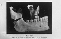 Tandlæge Dybring 8/12 24